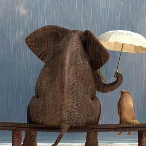 Meet your Posher, Todd